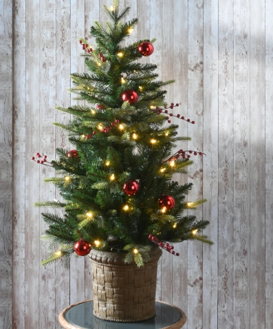 A Season of Change with National Tree Company Dunhill Fir